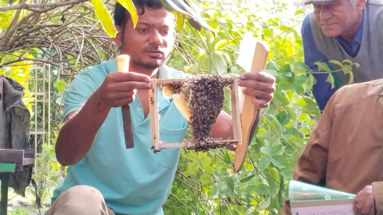 Beekeeping walk at Chetna Farm — 2 of 8