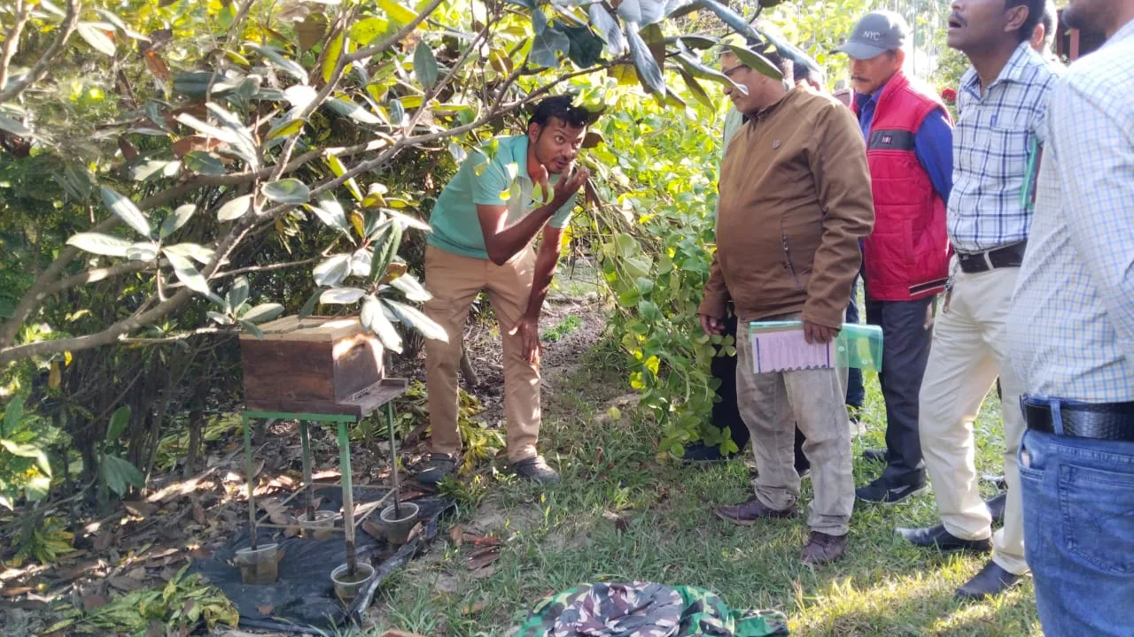 Beekeeping walk at Chetna Farm — 3 of 8