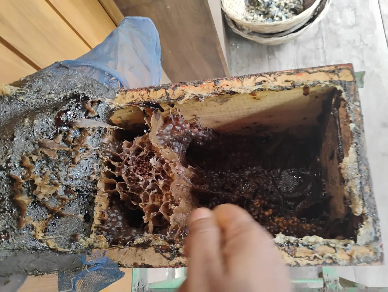 Beekeeping walk at Chetna Farm — 5 of 8