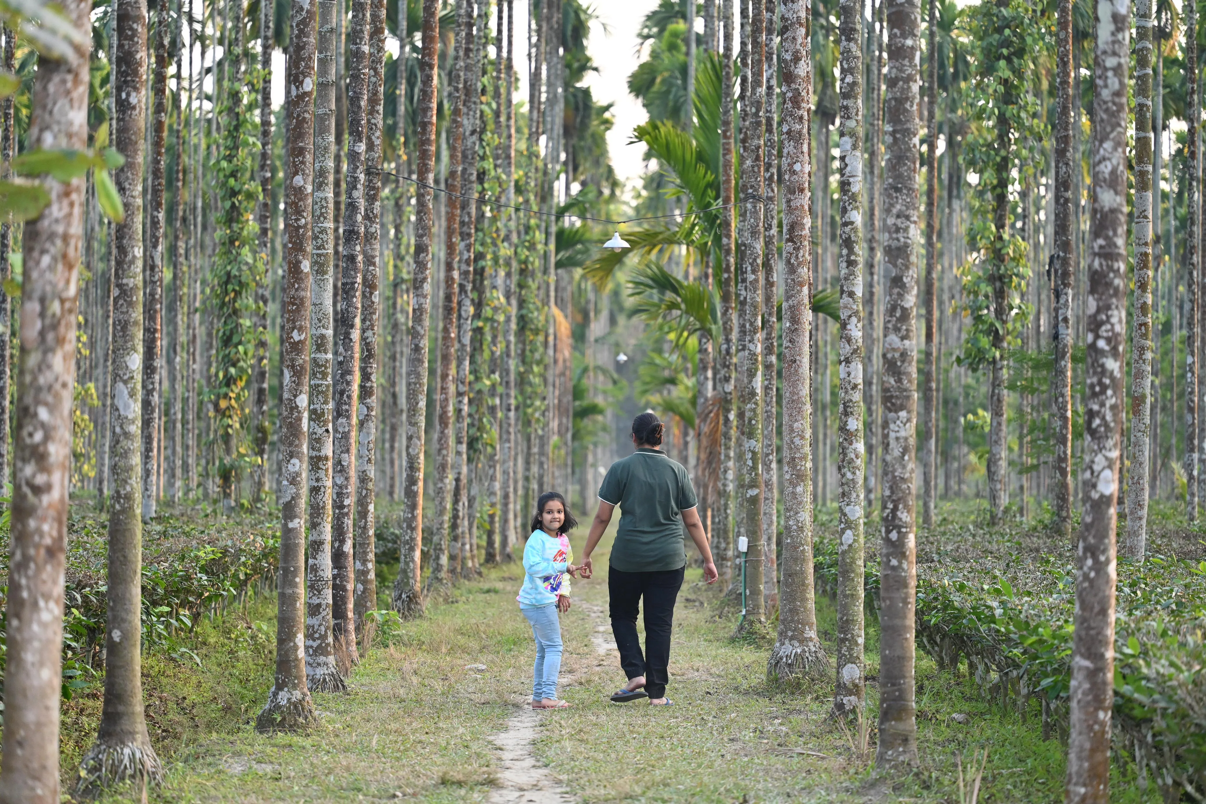 Day visit at Chetna Farm — 2 of 9