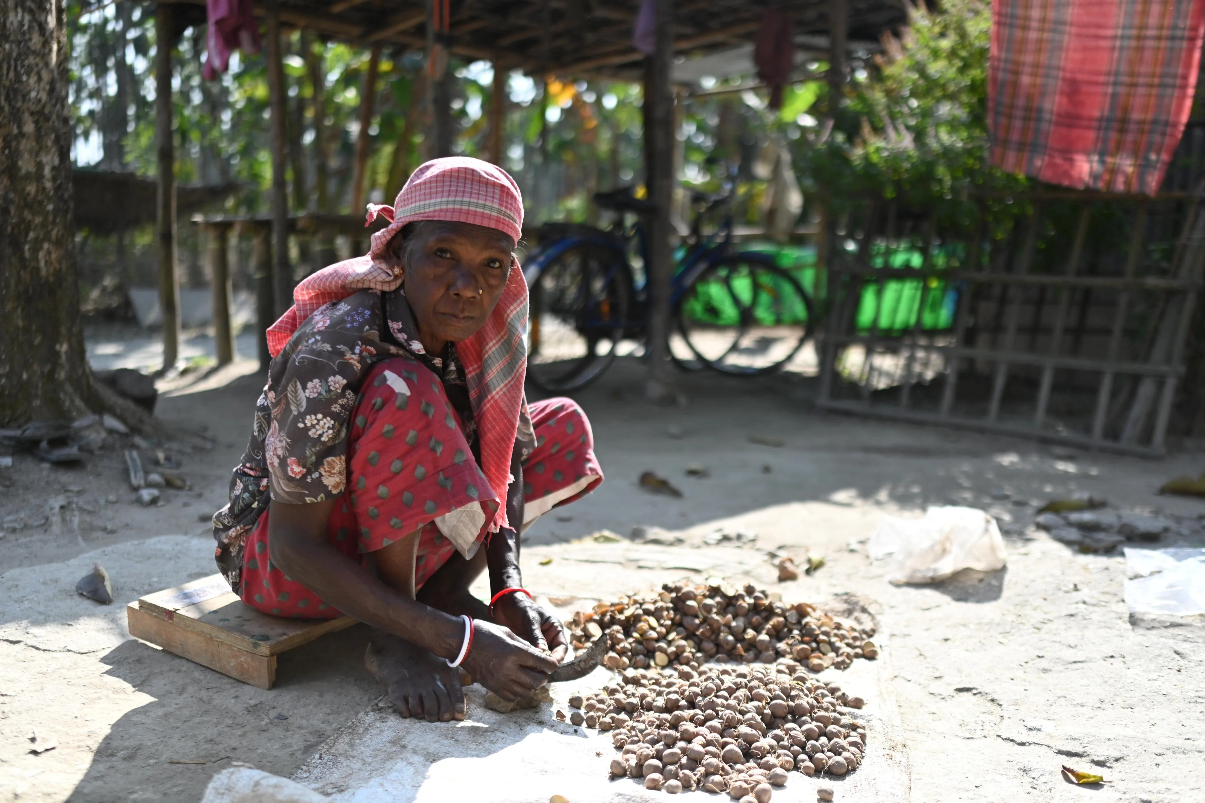 Day visit at Chetna Farm — 3 of 9