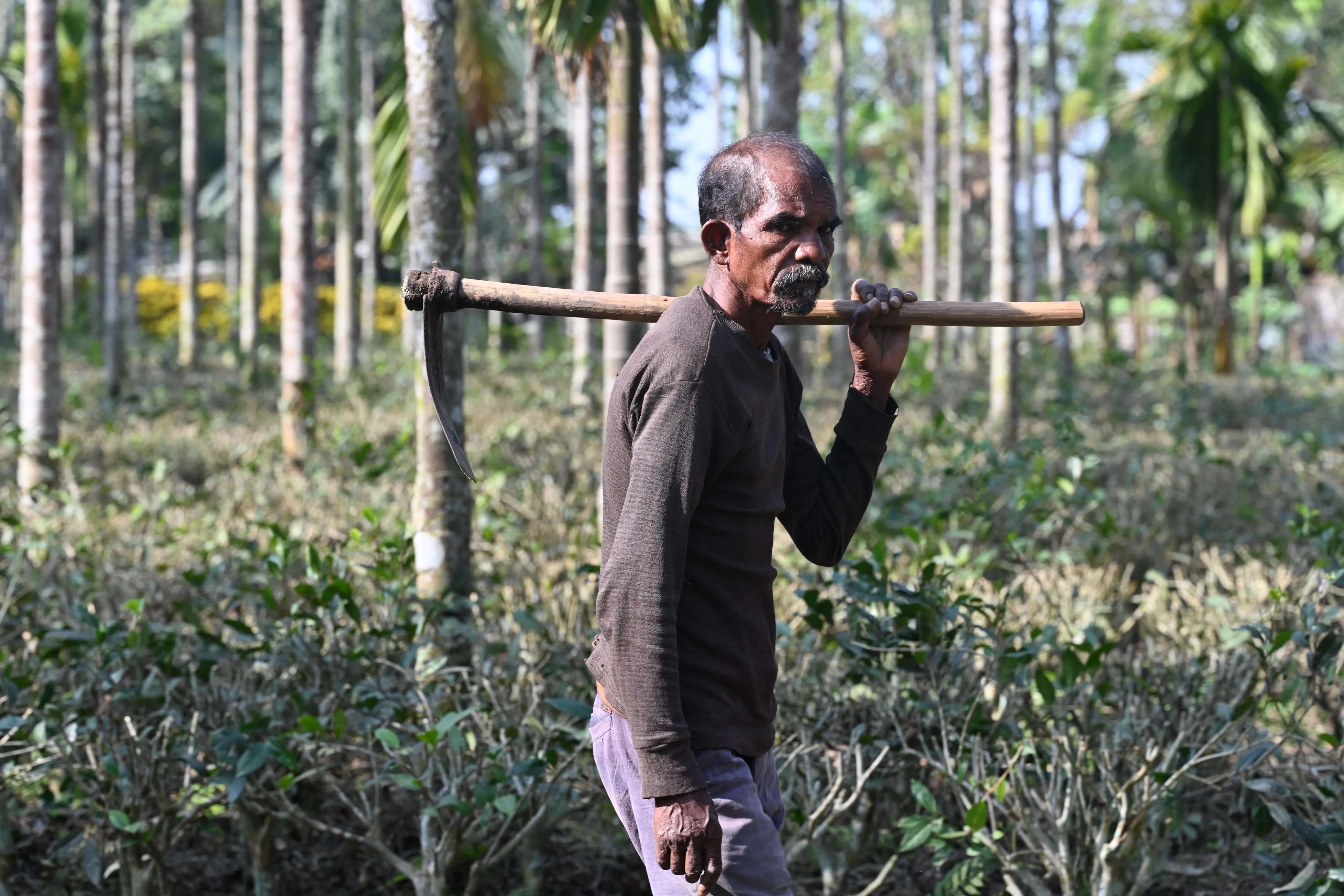 Day visit at Chetna Farm — 6 of 9