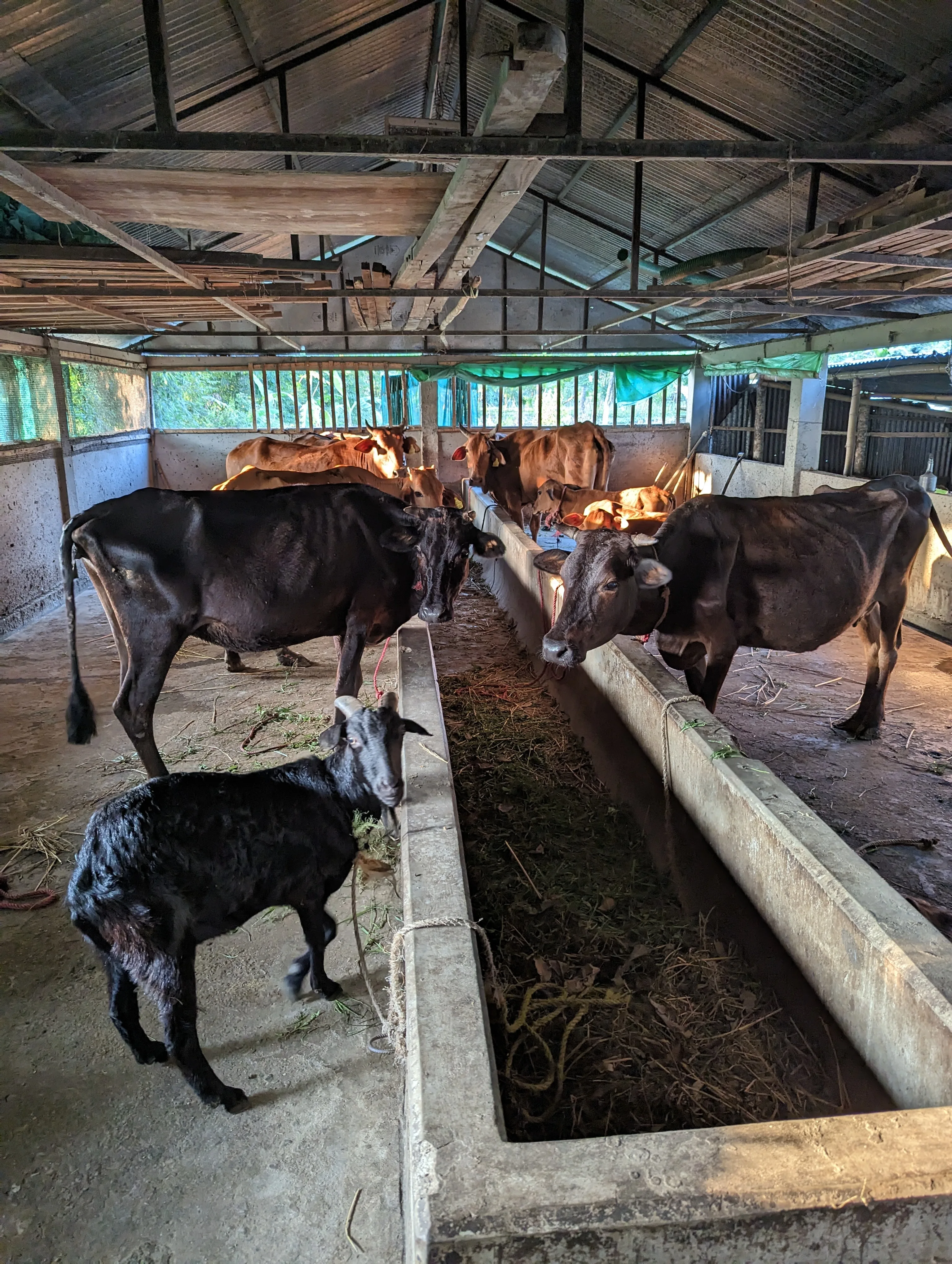 Day visit at Chetna Farm — 7 of 9