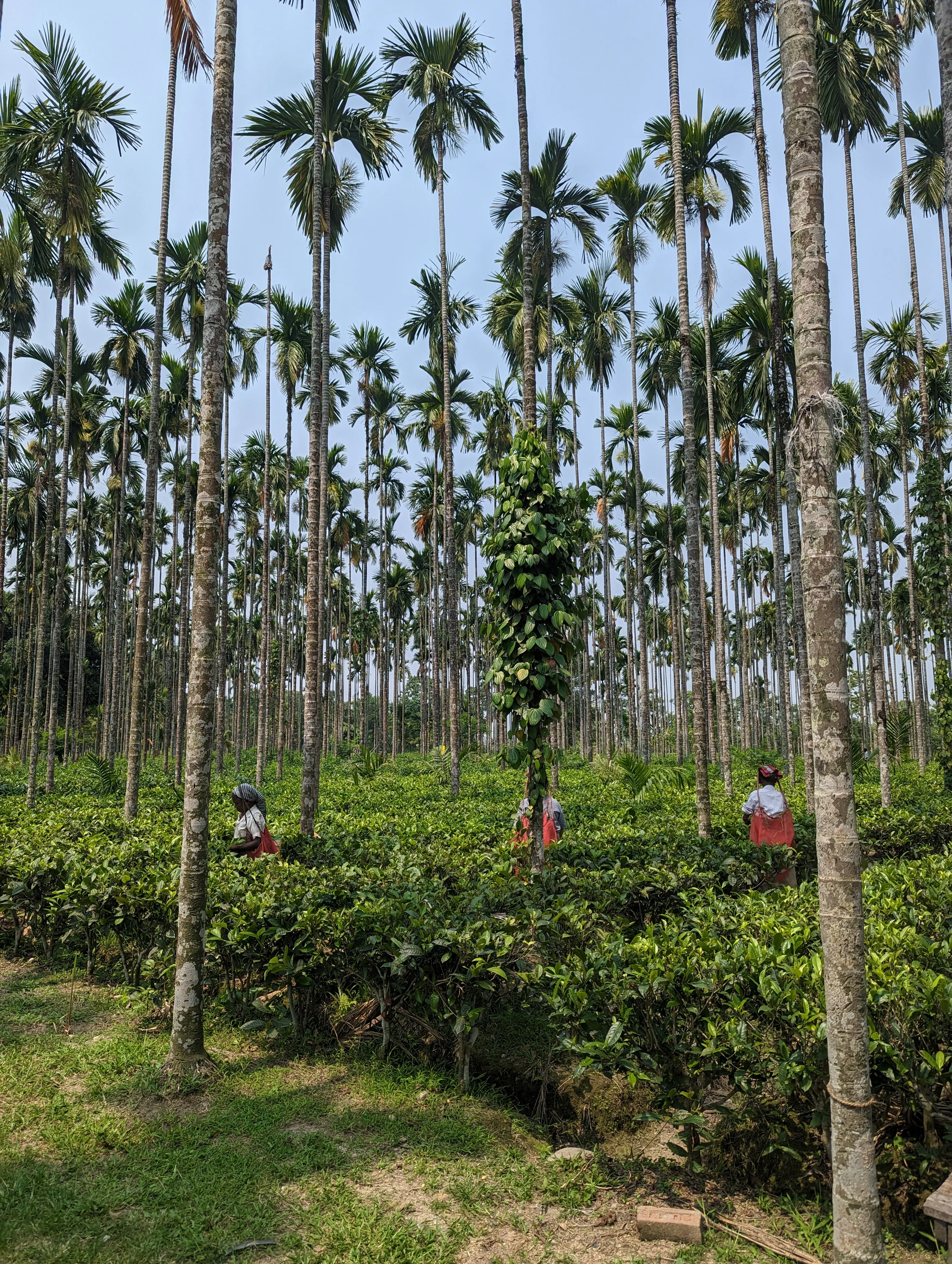 Day visit at Chetna Farm — 9 of 9