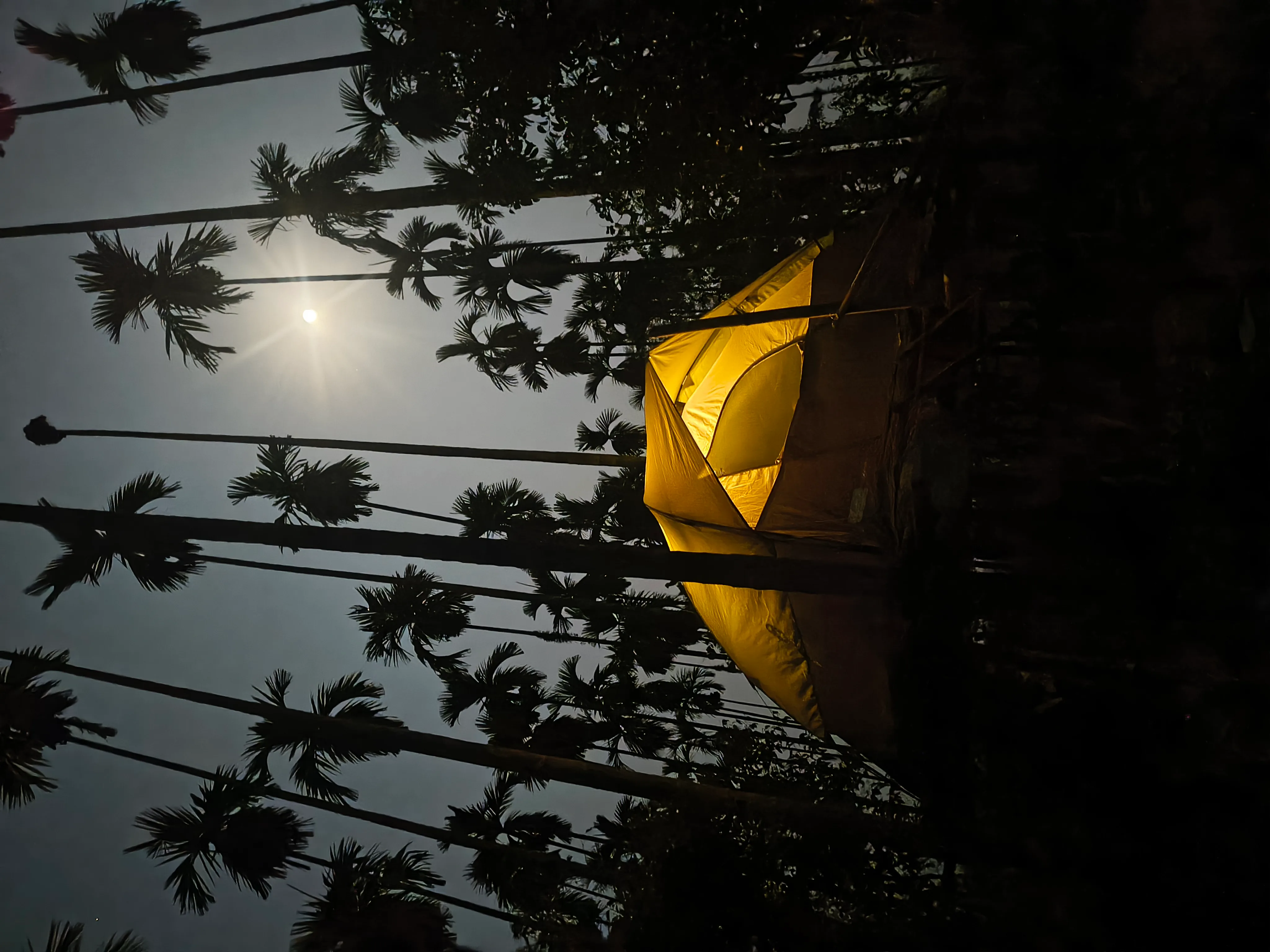 Farm Stay — Tree Camp