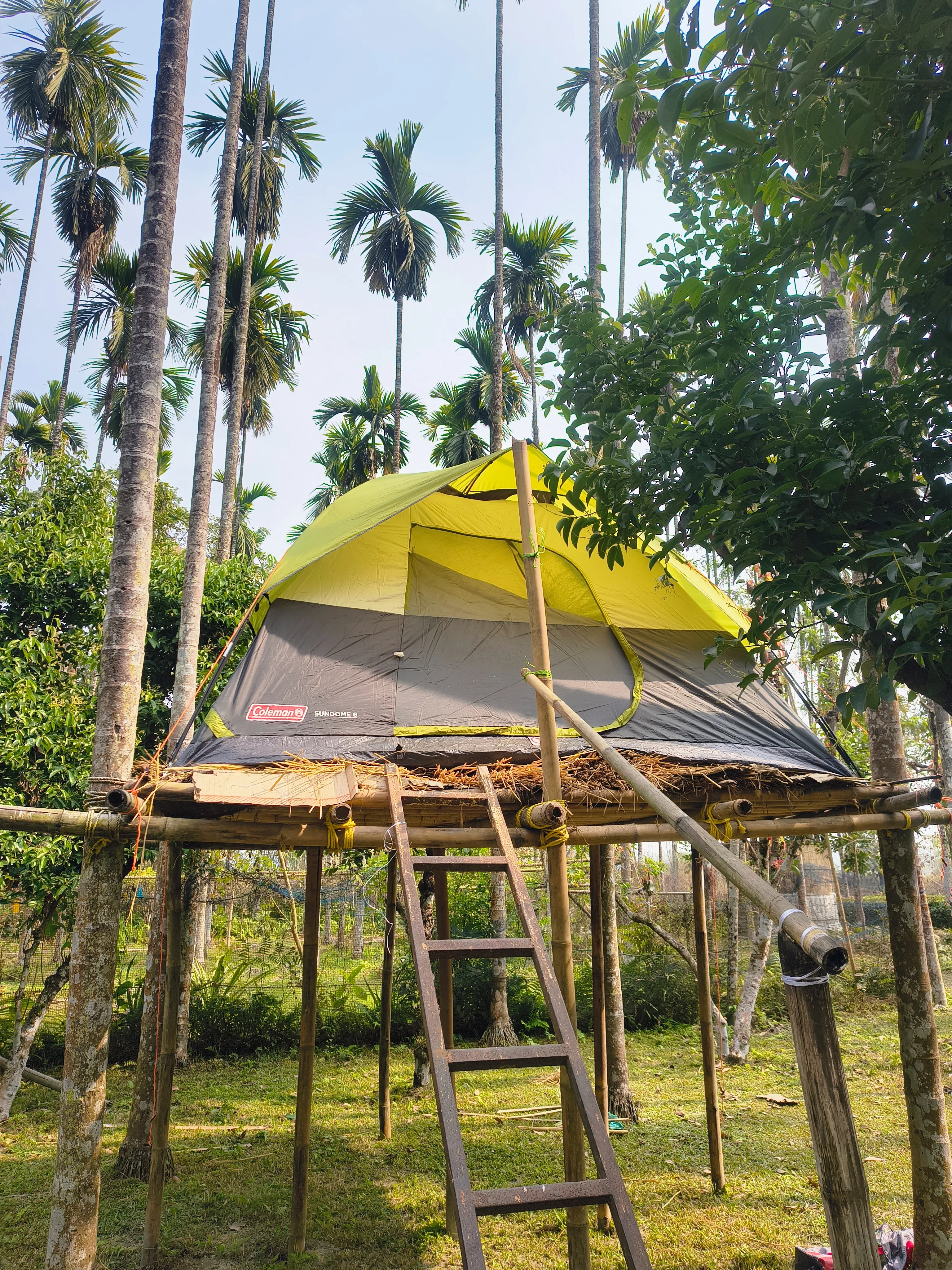 Farm Stay — Tree Camp at Chetna Farm — 2 of 5