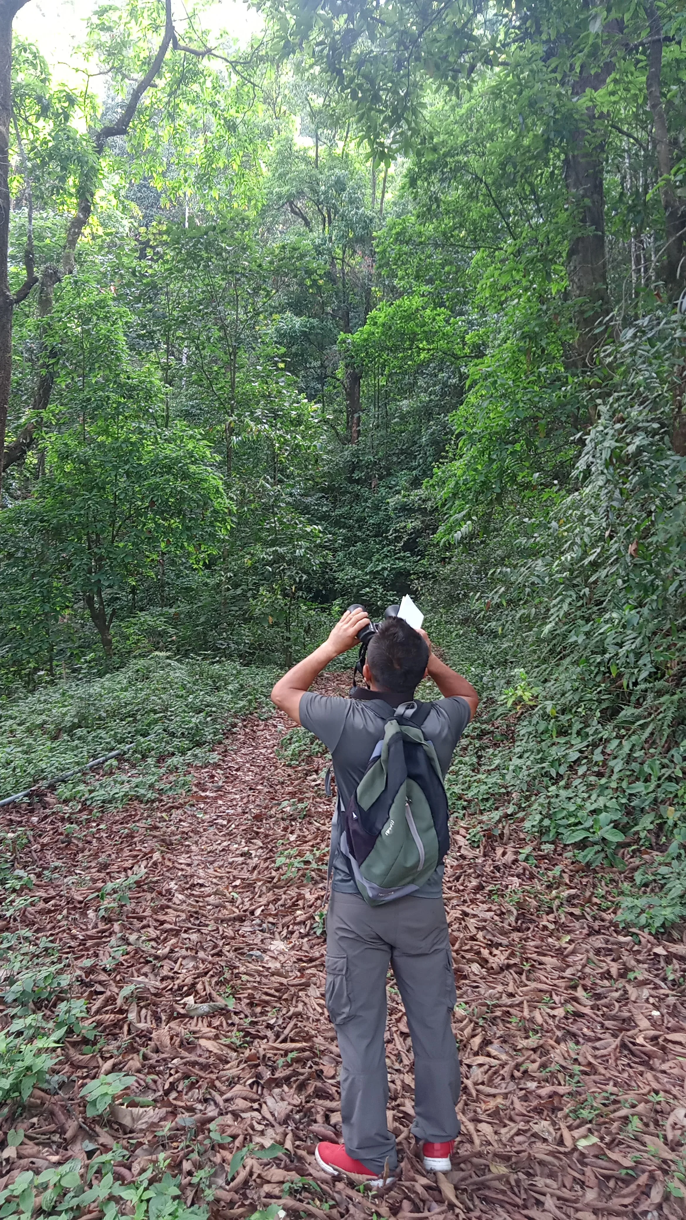 Neora Valley birdwatching and hiking — 5 of 27