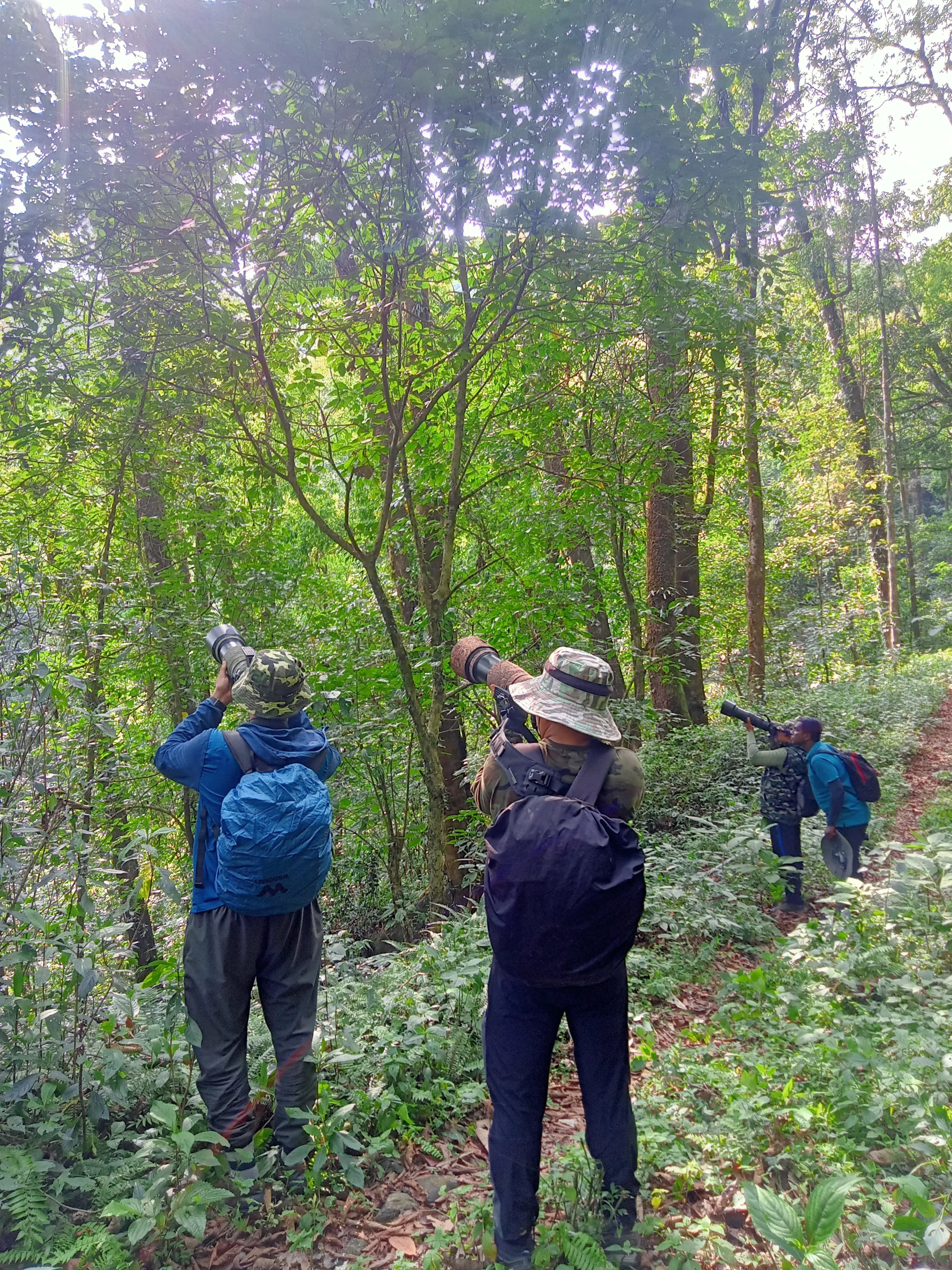 Neora Valley birdwatching and hiking — 7 of 27