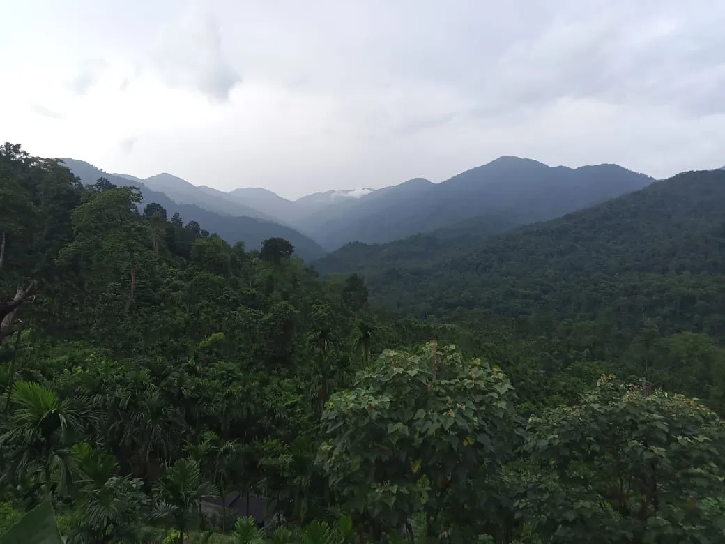 Neora Valley birdwatching and hiking — 20 of 27