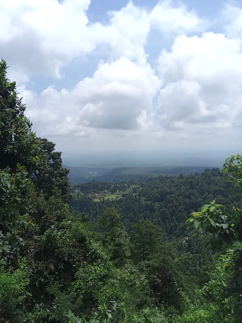 Neora Valley birdwatching and hiking — 23 of 27
