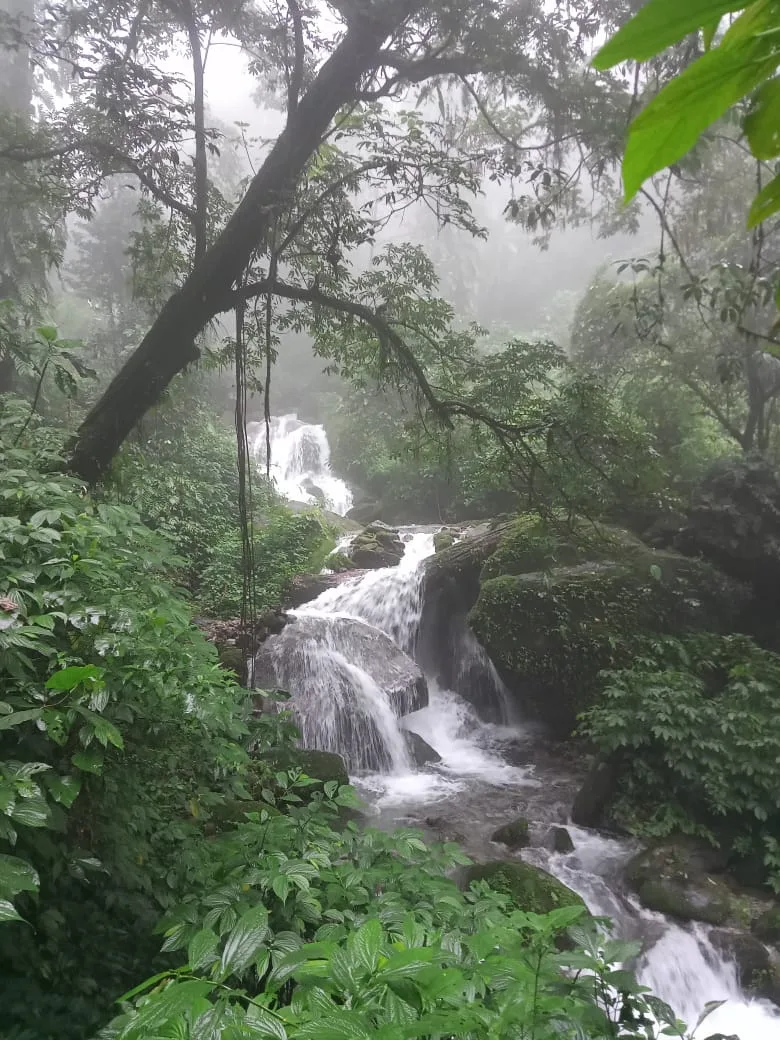 Neora Valley birdwatching and hiking — 25 of 27