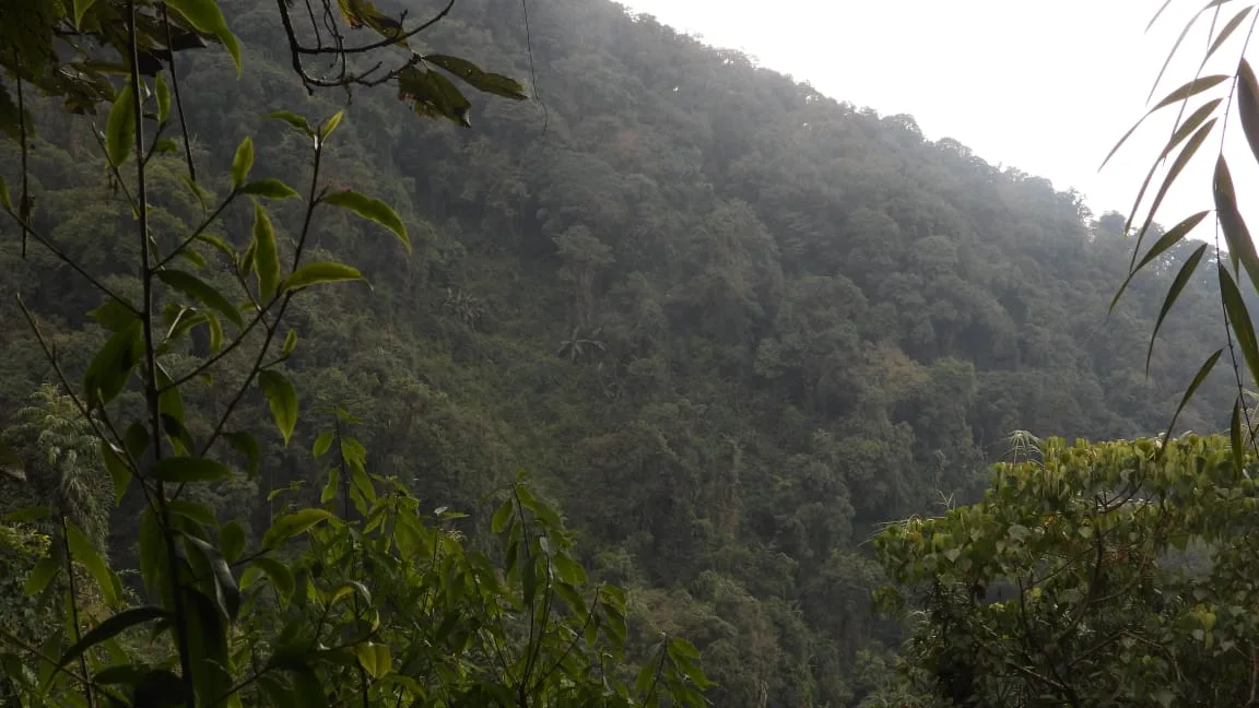 Neora Valley birdwatching and hiking — 26 of 27