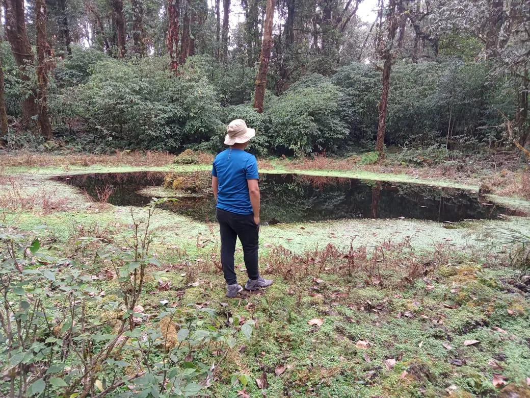 Neora Valley birdwatching and hiking — 27 of 27