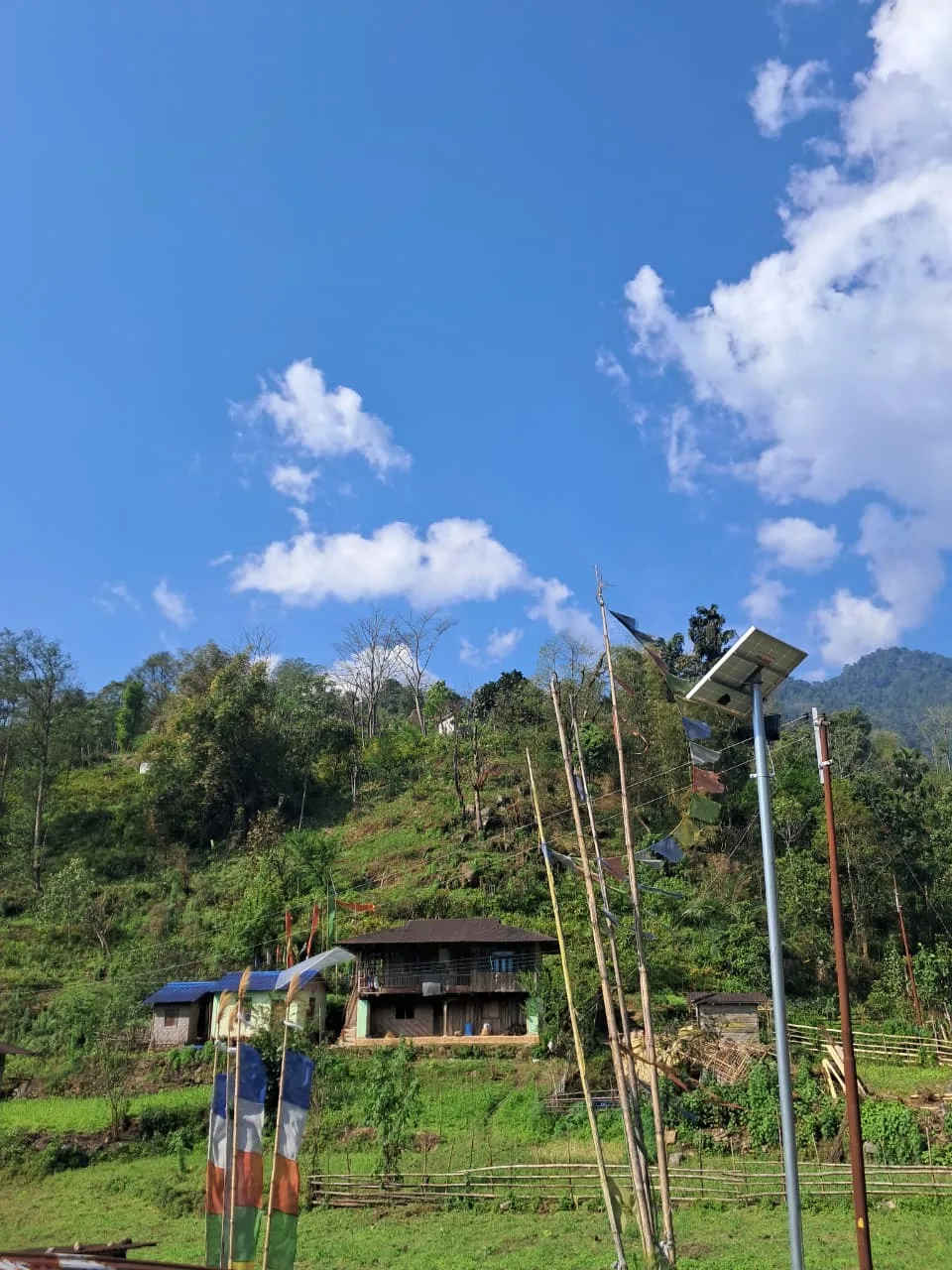 Todey to Tangta trek, North Bengal — 2 of 16