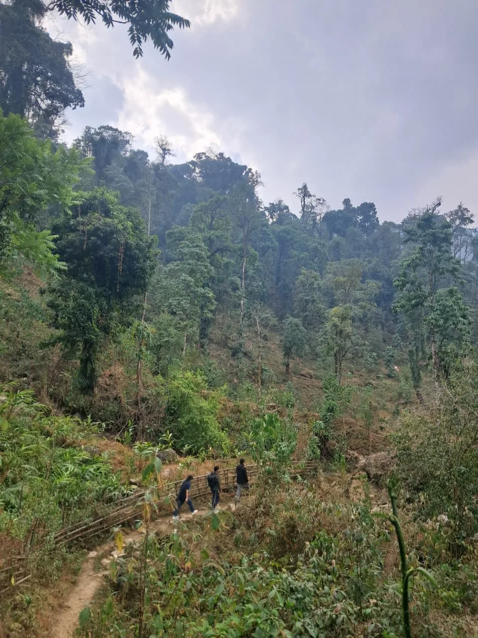 Todey to Tangta trek, North Bengal — 3 of 16