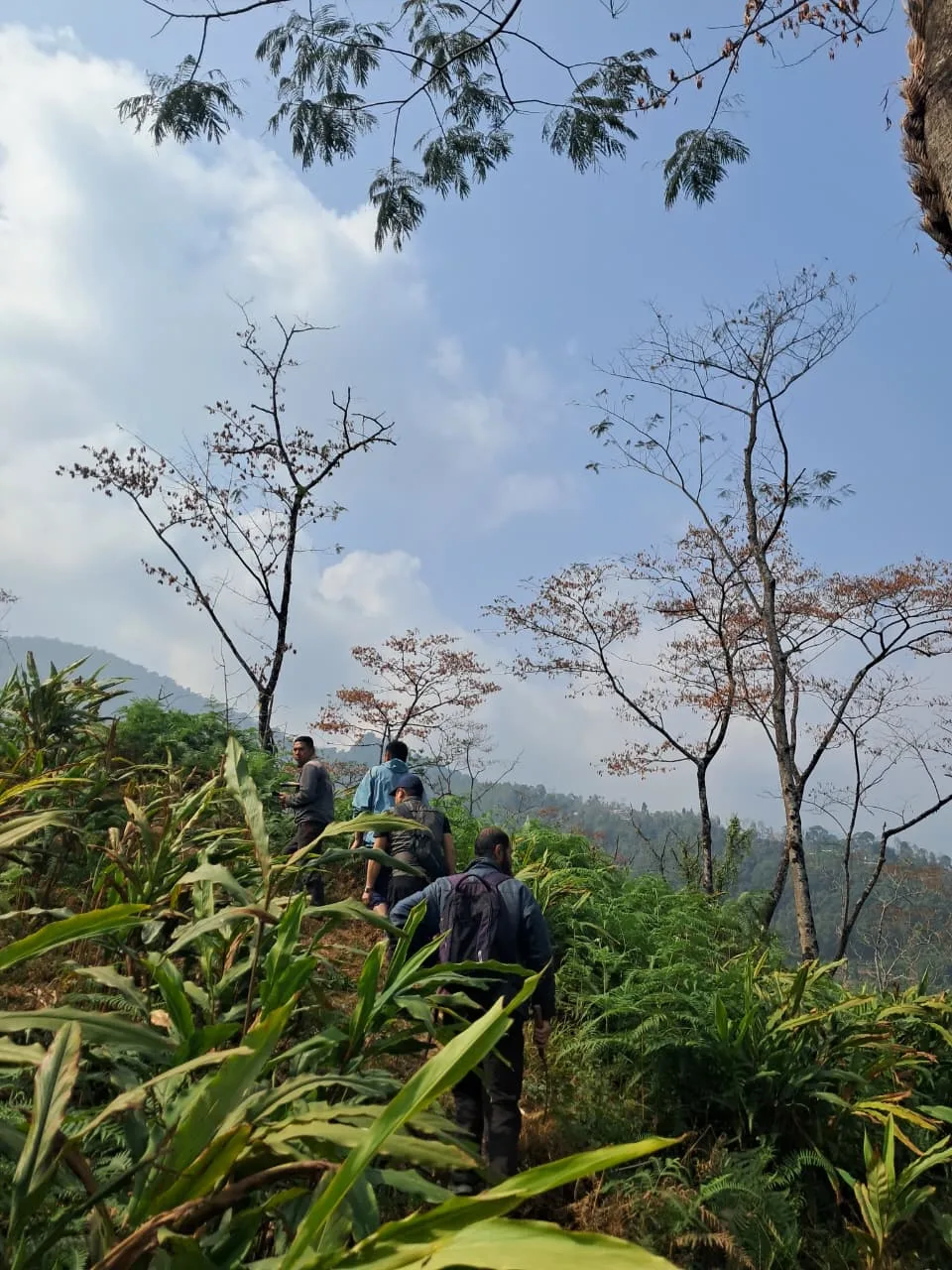Todey to Tangta trek, North Bengal — 4 of 16