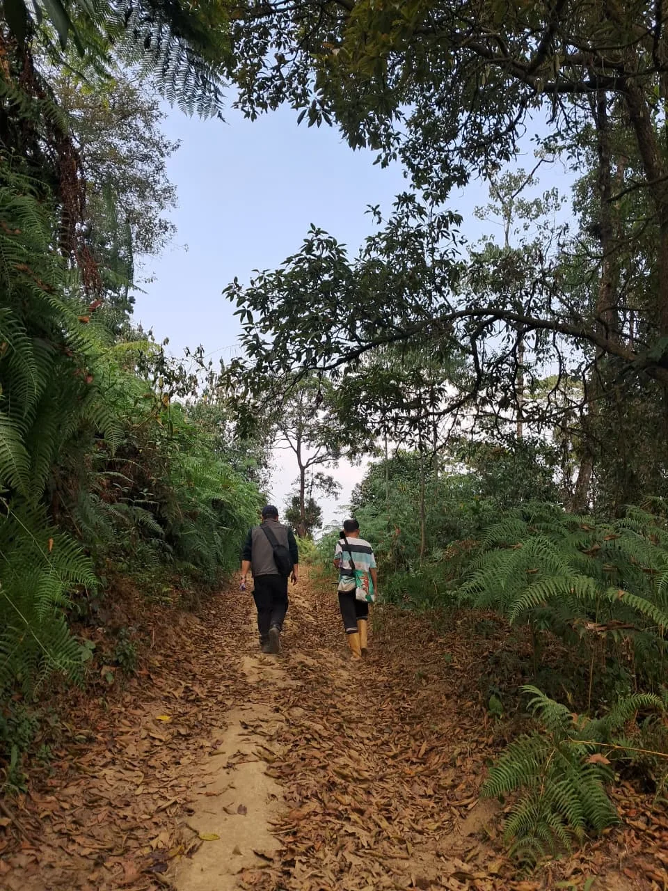Todey to Tangta trek, North Bengal — 5 of 16