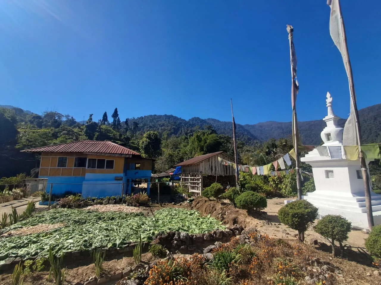 Todey to Tangta trek, North Bengal — 8 of 16