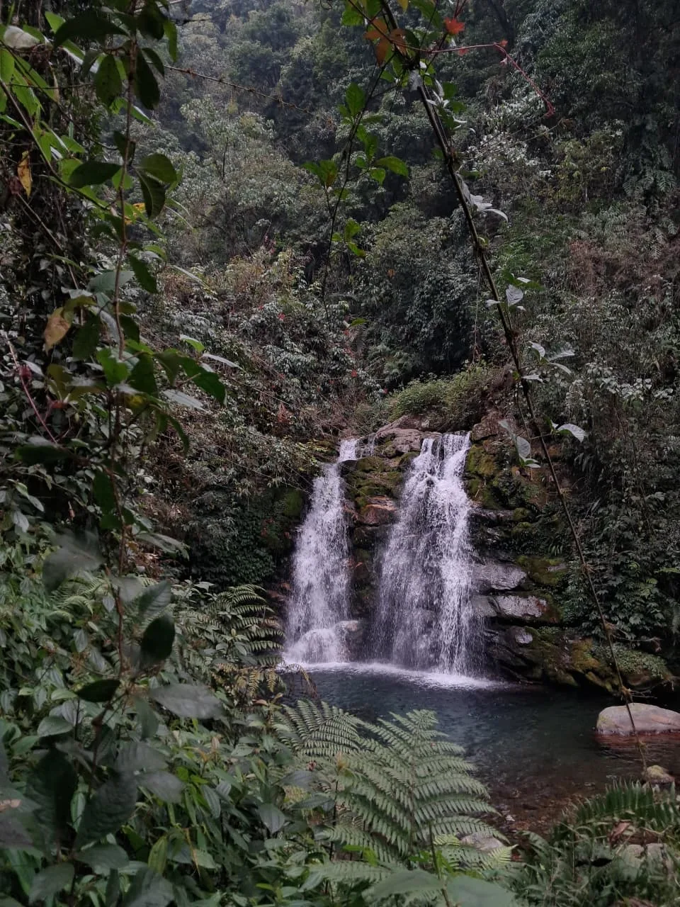 Todey to Tangta trek, North Bengal — 15 of 16